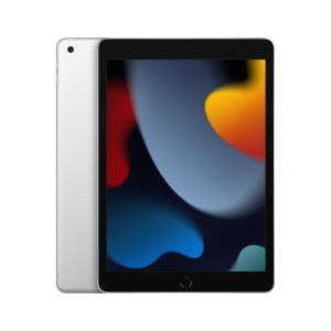 iPad - 10.2in - 9th Gen - Wi-Fi - 256GB - Silver