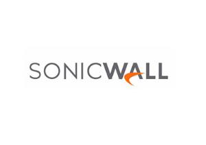 Software Support 24x7 - For -Nsa 9650 Advance Hardware Replacement 1 Year