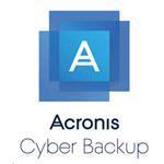 Cyber Backup Standard Server - Subscription License Multilingual - 3 Years (b1wbeilos74)
