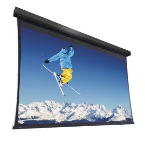 Projecta Extensa 219x390 Hd 0.6