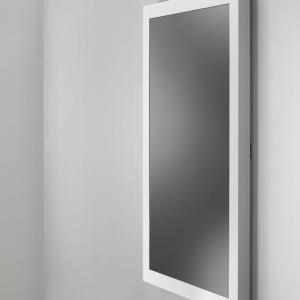 Protective Glass Wall Kiosk 48in Class