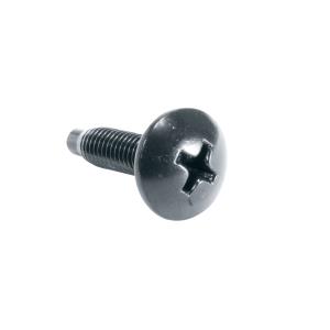 100PC 10-32 RUST RST SCW