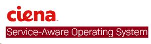 Saos Virtual Adv 10g Perp Sw Lic 3928
